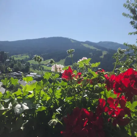 Apartment Haus Sabrina *