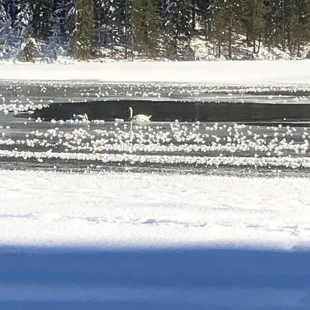 Haus Sabrina Wagrain