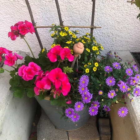 Haus Sabrina * Wagrain