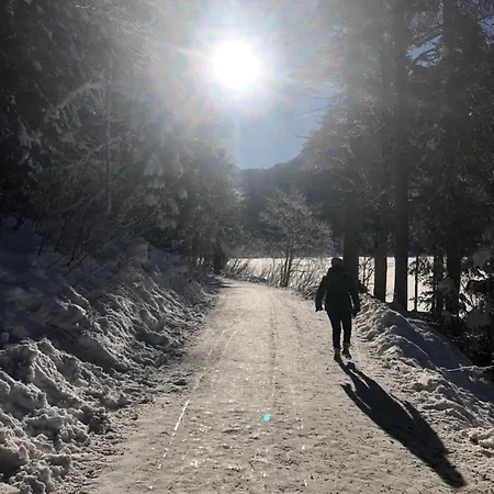 Haus Sabrina Lägenhet Wagrain