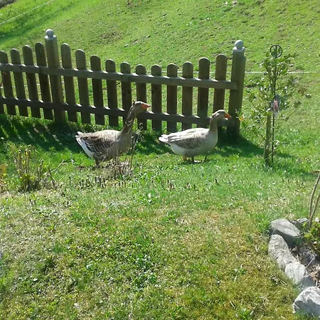 Haus Sabrina Apartment Wagrain